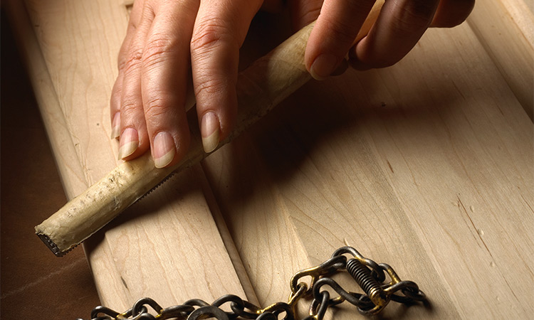 C10754 WGC Plant distress 05 Blog 750pxby450px